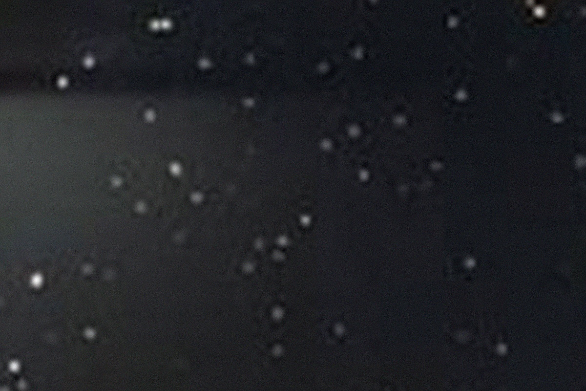 玻璃材質色系-黑彩金蔥